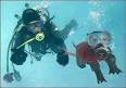 PADI Announces Pet Diver Certification Course - PR Newswire