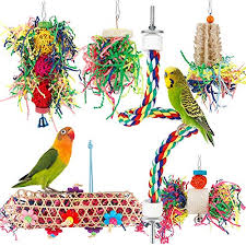Get 40 promo codes, coupons and deals for july 2021. Buying Parakeets At Petsmart 5 Things To Know Before You Buy Embora Pets