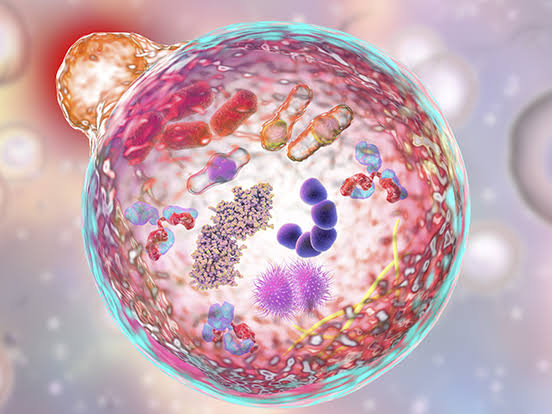 Illustration representing cellular signaling and metabolic pathways.