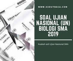 We did not find results for: Download Soal Un Biologi Sma Tahun 2019 Sudut Baca