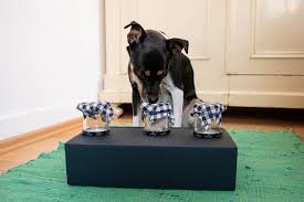 Bevor sie mit der planung und dem bau ihres neuen gewächshauses beginnen, sollten sie sich über dessen standort bewusst werden. Hundespielzeug Selber Machen Die 5 Besten Bastelideen
