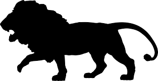 King Of The Jungle Lion Feline Big Free Vector Graphic On Pixabay