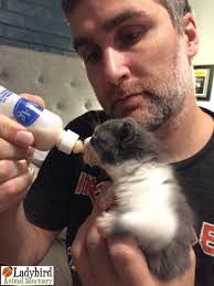 Ladybird Animal Sanctuary