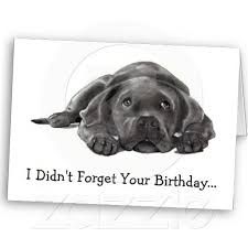 Talk with other fans, catch up with your favorite shows and more. Belated Birthday Didn T Forget Too Lazy Dog Card Zazzle Com Dog Cards Belated Birthday Bored Dog
