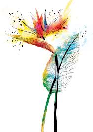 Bird Of Paradise Watercolor Watercolour And Inks By Ella Tjader Via Behance Watercolor And Ink Art Watercolor