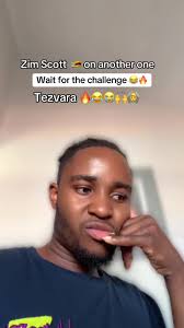 Zim Scott Remix: Fun Moments and Challenges