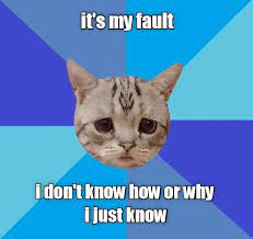 Always My Fault Lolcats Lol Cat Memes Funny Cats Funny Cat Pictures With Words On Them Funny Pictures Lol Cat Memes Lol Cats