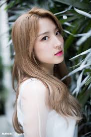 Y-TEEN Profile and Facts (Updated!)