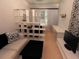 غرفة المعيشة وغرفة نوم التقسيم التقنيات الأساسية والتوصيات لاستخدامها خيارات لتقسيم غرفة واحدة إلى منطقتين الحيل التصميم