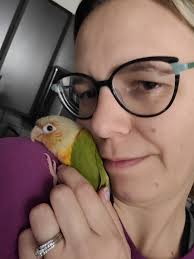 I gave pineapple some cat toys, he seems to enjoy the blue one the most!  Does anyone know any other good toys for conures?