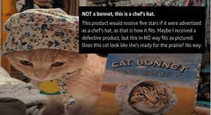 The Reviews For Cat Bonnets Sold On Amazon Are Pure Gold Cats Animal Quotes Funny Memes
