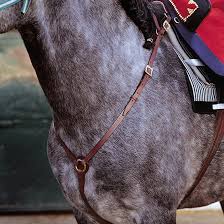 Breastplate Portuguese Model Cortezia Buckle Marjoman