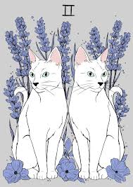 Gemini Spirit Animal Gemini Art Gemini Wallpaper Zodiac Art
