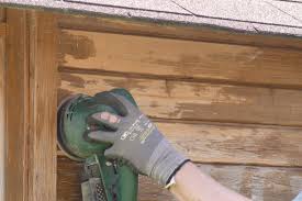 Gartenhaus Neu Streichen Grundieren Und Lasieren Anleitung Diybook De Gartenhaus Garten Gartenhutte