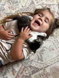 Why are my Neakasa M1 boxes automatically cleaning themselves in kitten  mode?