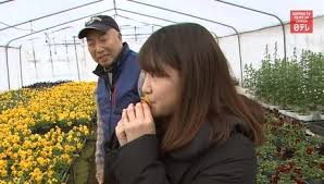 Check spelling or type a new query. Boom In Edible Flowers Is Sweeping Japan