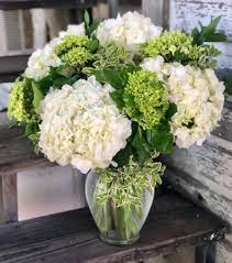 Check spelling or type a new query. Hydrangea Beautiful Fresh Flower Arrangement In Vase In Key West Fl Petals Vines
