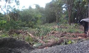 Property 1st Proyek Rs Cepoko Semarang Semarang Bangunan