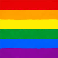 A flag with six colors of the rainbow, generally including red, orange, yellow, green, blue and purple. Lgbtq Pride Gifs Get The Best Gif On Giphy