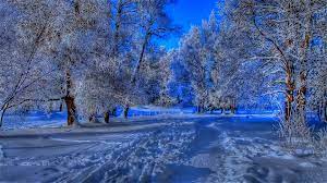 A commercial license is required if you intend to use this design for commercial purposes. Beautiful Winter Desktop Backgrounds 1920x1080 Wallpaper Teahub Io