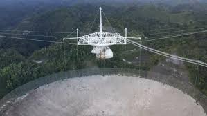 Die geschichte von den schmunzelsteinen. Arecibo M Minjgyxzzmcm Ricardo Arduengo Afp Via Getty Images Kidsagainsthungercm