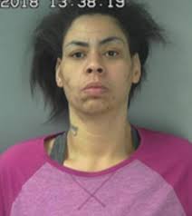 More than a dozen people arrested in Bloomington drug investigation