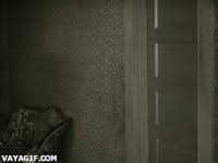 We did not find results for: Ninjas In Pyjamas Gifs Get The Best Gif On Gifer