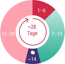 Zykluslänge berechnen ❤ wie und ab wann berechnet man die zyklusdauer? Was Ist Der Weibliche Zyklus Welche Lange Ist Normal