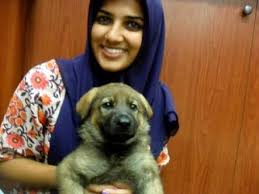 Adapun najis anjing wajib dibersihkan dengan tujuh kali basuhan jika memang ketika sedangkan najis hukmiyah tidak bisa lagi diindera, baik warna, bau, maupun rasanya. Anjing Dalam Islam Islami Dot Co