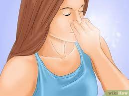 3 Ways To Handle Winter Allergies Wikihow