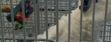 We did not find results for: The 7 Best Pet Stores In Indianapolis