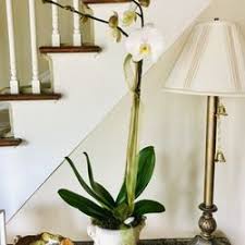 All occassions flowers & gifts is located in west monroe city of louisiana state. Florists In Monroe Yelp
