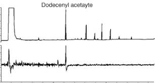 Thank you!a basic video about gas chromatography flame ionization detector. Flame Ionization Detection An Overview Sciencedirect Topics