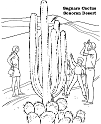 Pin On Coloring Pages