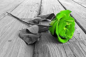 Purchase canvas prints, framed prints, tapestries, posters, greeting cards, and more. Green Rose Black White Colour Splash Wall Art Canvas Framed Or Poster Print Ebay