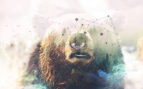 Kermode bear hd wallpapers, desktop and phone wallpapers. Photoshop Forest 4k Grizzly Bear Hd Wallpaper Wallpaperbetter