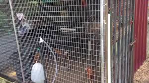 Download lagu reban ayam tertutup (6.25mb) dan streaming kumpulan lagu reban ayam tertutup (6.25mb) mp3 terbaru di metrolagu dan nikmati, video hasil diatas adalah hasil pencarian dari anda reban ayam tertutup mp3 dan menurut kami yang paling cocok adalah reban ayam tertutup. Reban Ayam Secara Ringkas 1 Youtube