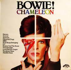 We are huge bowie fans and moderate jigsaw puzzlers, so it was an interesting combination of very hard (lots of black and lots of white, as others have mentioned) and occasionally easier because we could quickly recognize various details that we know so well from staring at the album covers for decades. Rare Original 39 79 David Bowie Chameleon Imported Australian Vinyl Press Lp Mint L K David Bowie Album Covers David Bowie Bowie