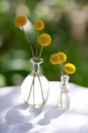 70 Vivacious Billy Balls Wedding Ideas Spring Wedding Centerpieces Billy Balls Wedding Wedding Centerpieces