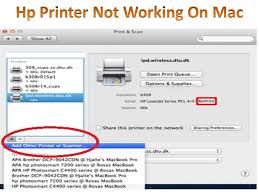 Pin By Hp Printer On Hp Printer Customer Service Toll Free Phone Number Hp Printer Network Sharing Printer