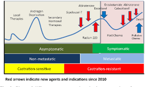 Once prostate cancer has spread beyond the prostate, survival rates fall. Navigating The Evolving Therapeutic Landscape In Advanced Prostate Cancer Semantic Scholar