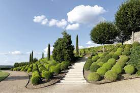 Zone 10 sangguniang kabataan 2018. 10 Best Evergreen Shrubs For The Garden Evergreen Shrubs To Plant