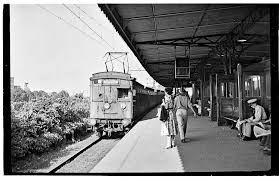Old Dog Box Train Train Light Rail Old Dogs