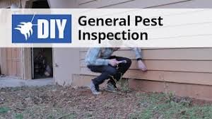 New zealand made do it yourself pest control products. Do It Yourself Pest Control Video Collection Domyown Com
