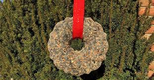 In this video i made a fun diy project with bird seeds.this is a wreath but if you want to save time you can fill a bowl with birdseed. Diy Holiday Bird Seed Wreath Lyric Wild Bird Food