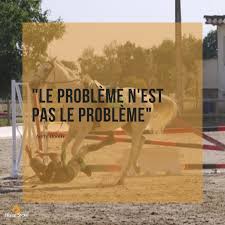 Citation Andy Booth Horse Store Prive Citations Equitation Citations Equestres Citation Cheval