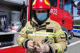 Check spelling or type a new query. Wypadek Na S8 Wiadomosci Informacje Super Express