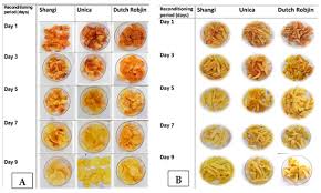 Image result for Autumn Gold Dark 1983 Caloric