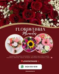 Floristería Momentos