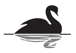Rory Swan Know Your Meme Black Swan Swan Clip Art